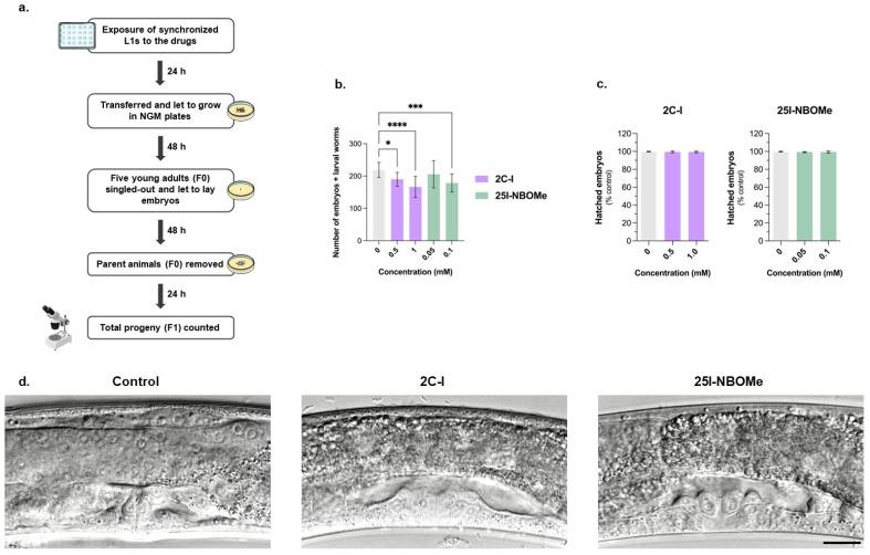 https://cdn.ncbi.nlm.nih.gov/pmc/blobs/c2d3/11988394/1ea78414b582/ijms-26-03039-g004.jpg