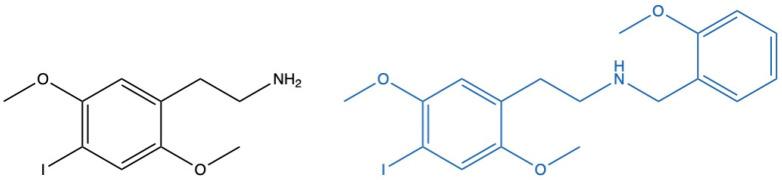 https://cdn.ncbi.nlm.nih.gov/pmc/blobs/c2d3/11988394/b53bec157f73/ijms-26-03039-g001.jpg