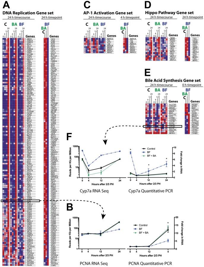 https://cdn.ncbi.nlm.nih.gov/pmc/blobs/c2d7/4026228/a6973f4fa268/pone.0097426.g005.jpg