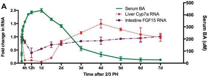 https://cdn.ncbi.nlm.nih.gov/pmc/blobs/c2d7/4026228/baff48067370/pone.0097426.g001.jpg