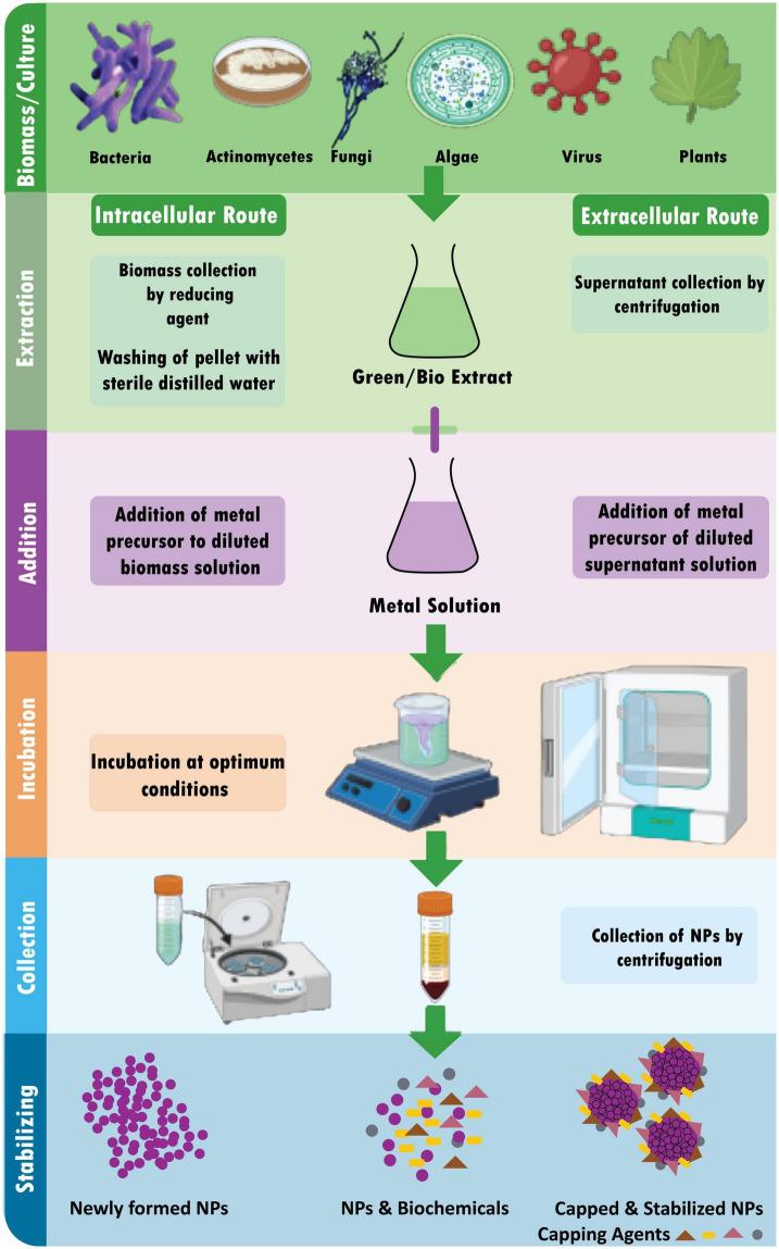 https://cdn.ncbi.nlm.nih.gov/pmc/blobs/c2d8/10168541/2417c43ad1b7/fmicb-14-1155622-g003.jpg