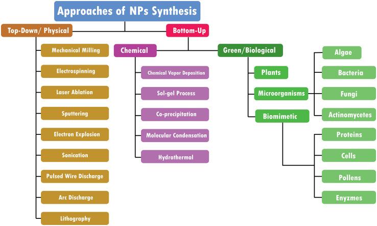https://cdn.ncbi.nlm.nih.gov/pmc/blobs/c2d8/10168541/4ebe57192e17/fmicb-14-1155622-g001.jpg