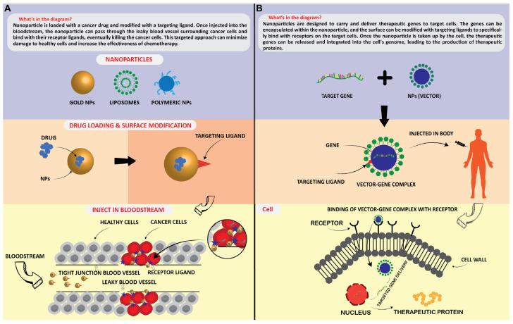 https://cdn.ncbi.nlm.nih.gov/pmc/blobs/c2d8/10168541/507937aa2841/fmicb-14-1155622-g005.jpg