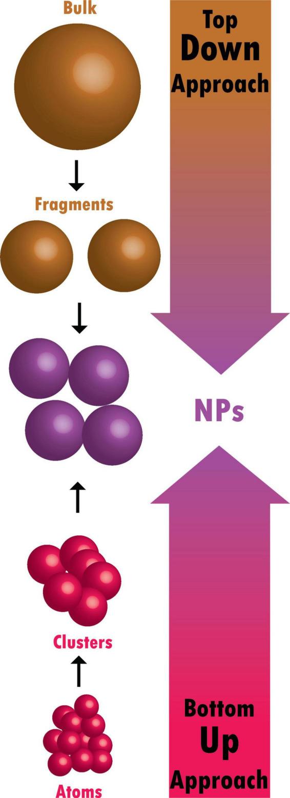 https://cdn.ncbi.nlm.nih.gov/pmc/blobs/c2d8/10168541/c0852c092948/fmicb-14-1155622-g002.jpg