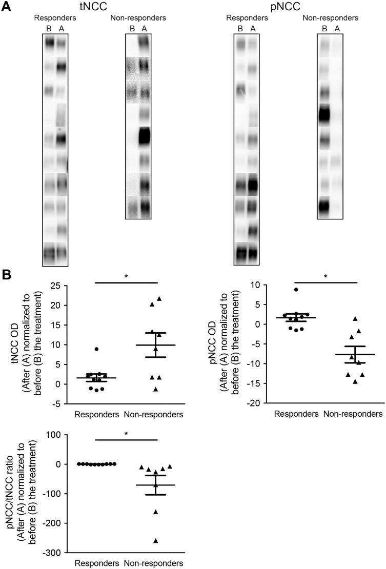 https://cdn.ncbi.nlm.nih.gov/pmc/blobs/c2d9/5400280/85cd99ab08b8/pone.0176220.g004.jpg