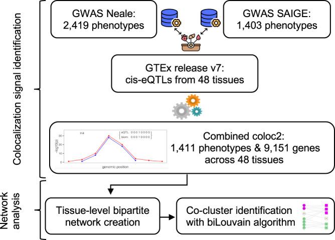 https://cdn.ncbi.nlm.nih.gov/pmc/blobs/c2da/9392744/55824d0364c3/42003_2022_3820_Fig1_HTML.jpg