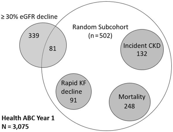 https://cdn.ncbi.nlm.nih.gov/pmc/blobs/c2db/6102560/20f87e999e55/clinnephrol-87-278-01.jpg