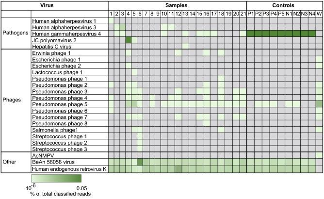 https://cdn.ncbi.nlm.nih.gov/pmc/blobs/c2dc/8888594/0266417a8a26/41598_2022_7260_Fig4_HTML.jpg
