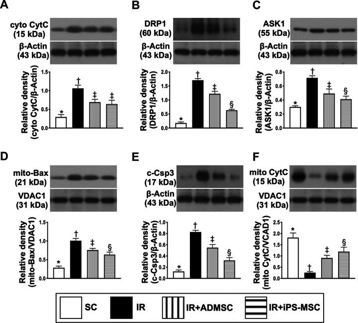 https://cdn.ncbi.nlm.nih.gov/pmc/blobs/c2e0/7784512/b32d653e8b5b/10.1177_0963689720954140-fig11.jpg