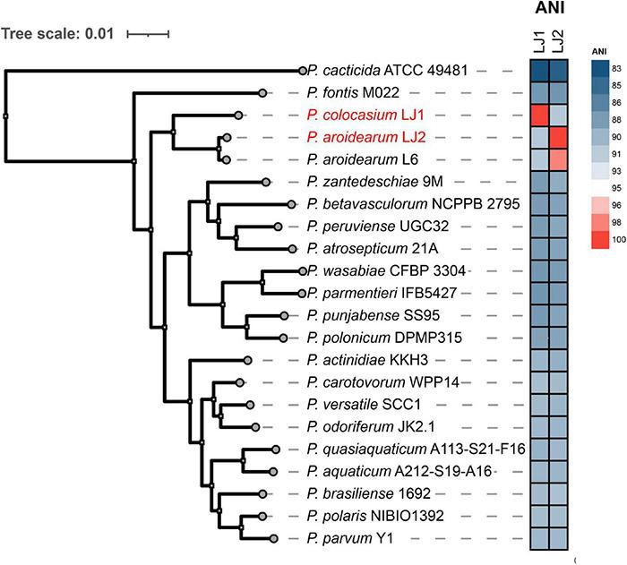https://cdn.ncbi.nlm.nih.gov/pmc/blobs/c2e1/9088014/019726ad0913/fpls-13-852750-g003.jpg