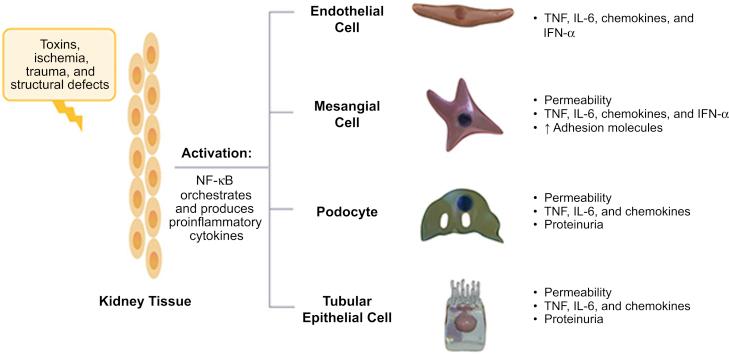 https://cdn.ncbi.nlm.nih.gov/pmc/blobs/c2e2/8258499/3e21fd78f56f/gr2.jpg