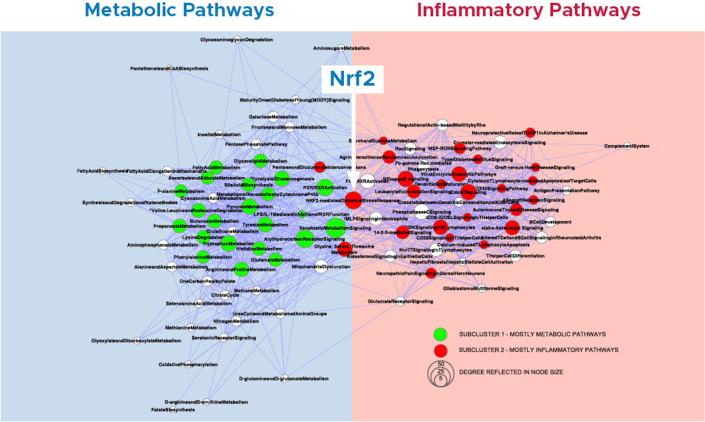 https://cdn.ncbi.nlm.nih.gov/pmc/blobs/c2e2/8258499/fba220cedbd7/gr1.jpg