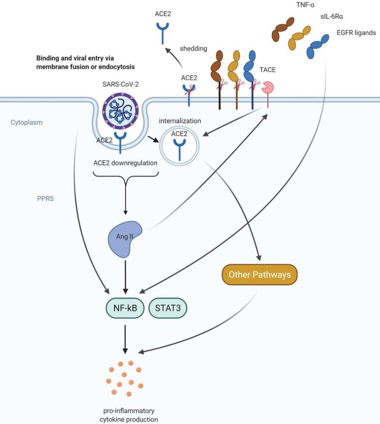 https://cdn.ncbi.nlm.nih.gov/pmc/blobs/c2e3/8741849/50d8c438f005/ijbsv18p0459g002.jpg