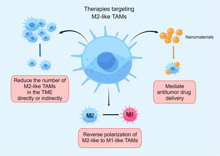 https://cdn.ncbi.nlm.nih.gov/pmc/blobs/c2e5/10858952/645fba9c5891/41698_2024_522_Fig3_HTML.jpg