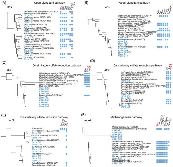 https://cdn.ncbi.nlm.nih.gov/pmc/blobs/c2e7/11222294/4637c4540f78/EMI4-16-e13298-g004.jpg