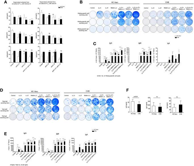 https://cdn.ncbi.nlm.nih.gov/pmc/blobs/c2e8/7876309/3d46a8a78f46/fimmu-11-599648-g007.jpg