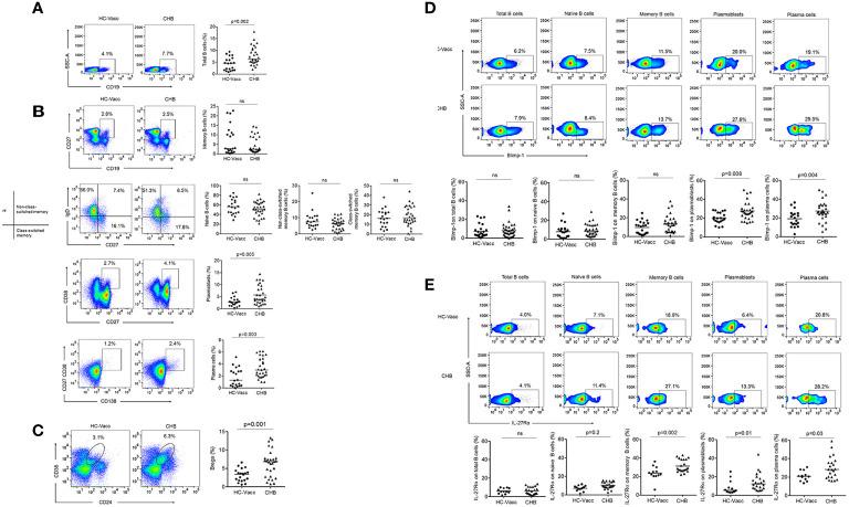 https://cdn.ncbi.nlm.nih.gov/pmc/blobs/c2e8/7876309/e7540f355f2a/fimmu-11-599648-g004.jpg