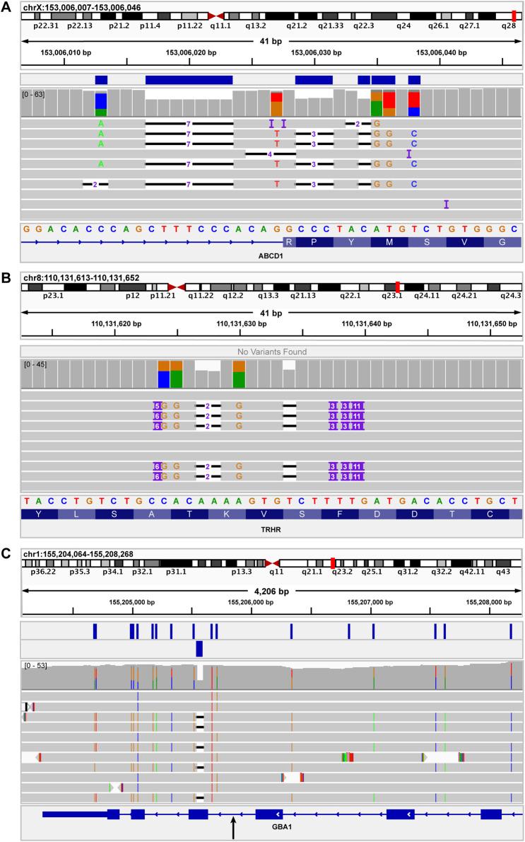 https://cdn.ncbi.nlm.nih.gov/pmc/blobs/c2ea/12082127/1e2b61ff4155/fgene-16-1499456-g005.jpg
