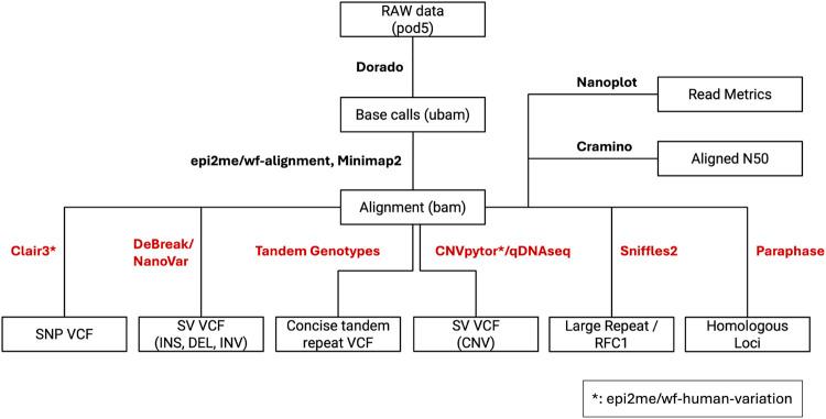 https://cdn.ncbi.nlm.nih.gov/pmc/blobs/c2ea/12082127/28193d3865ce/fgene-16-1499456-g002.jpg