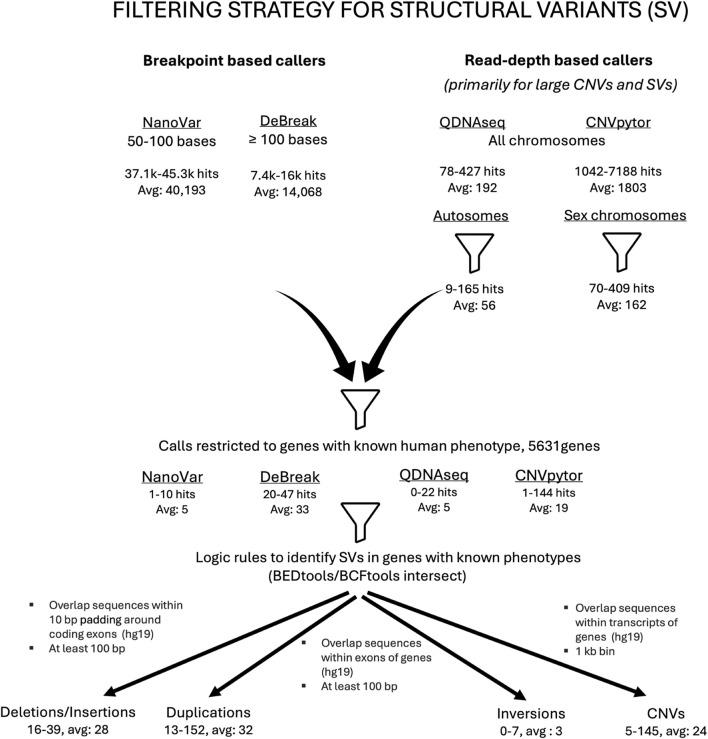 https://cdn.ncbi.nlm.nih.gov/pmc/blobs/c2ea/12082127/3e86e555cb7d/fgene-16-1499456-g001.jpg