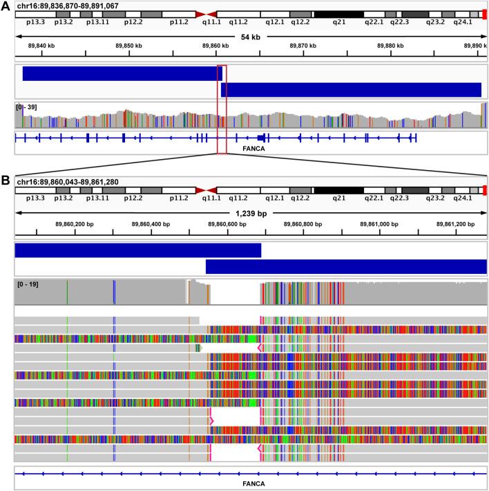 https://cdn.ncbi.nlm.nih.gov/pmc/blobs/c2ea/12082127/f0f4a2fb5930/fgene-16-1499456-g008.jpg