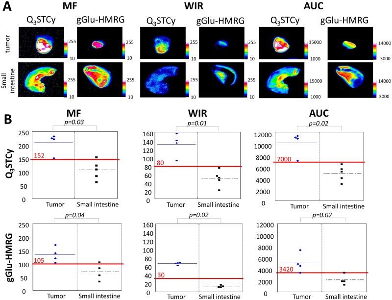 https://cdn.ncbi.nlm.nih.gov/pmc/blobs/c2ea/5617415/60405bdf0feb/oncotarget-08-61181-g005.jpg