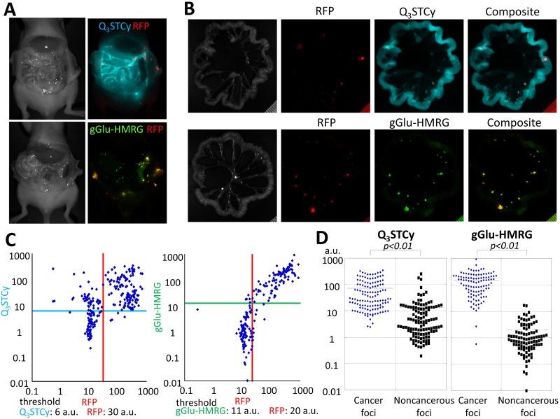 https://cdn.ncbi.nlm.nih.gov/pmc/blobs/c2ea/5617415/ccea3bb241e2/oncotarget-08-61181-g003.jpg