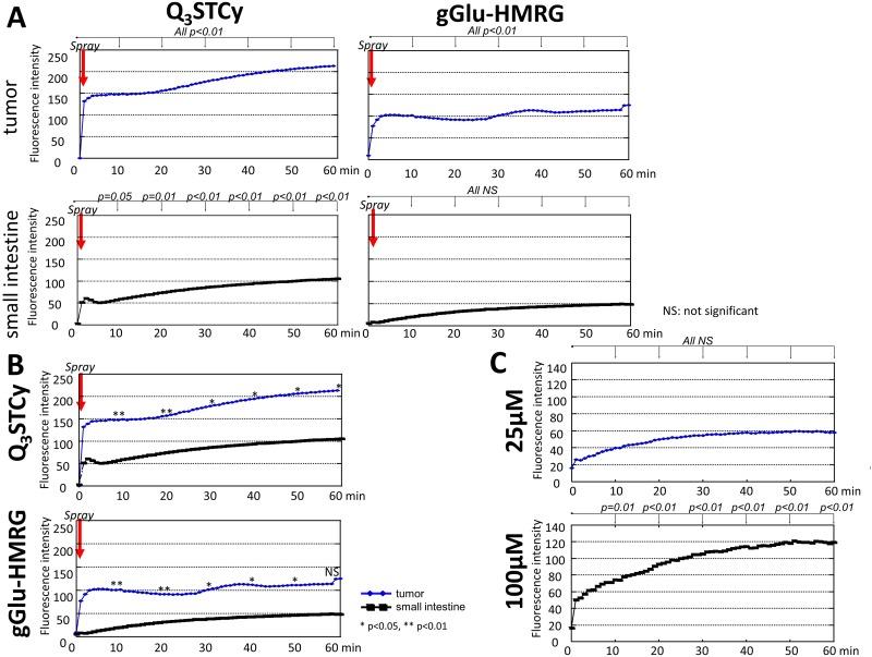 https://cdn.ncbi.nlm.nih.gov/pmc/blobs/c2ea/5617415/dc21e29faf33/oncotarget-08-61181-g004.jpg