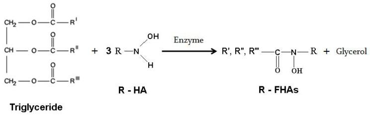 https://cdn.ncbi.nlm.nih.gov/pmc/blobs/c2ea/6264264/4108e47a32e8/molecules-16-06634-g006.jpg