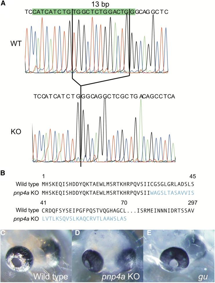https://cdn.ncbi.nlm.nih.gov/pmc/blobs/c2eb/5386883/810351416fbd/1357f4.jpg