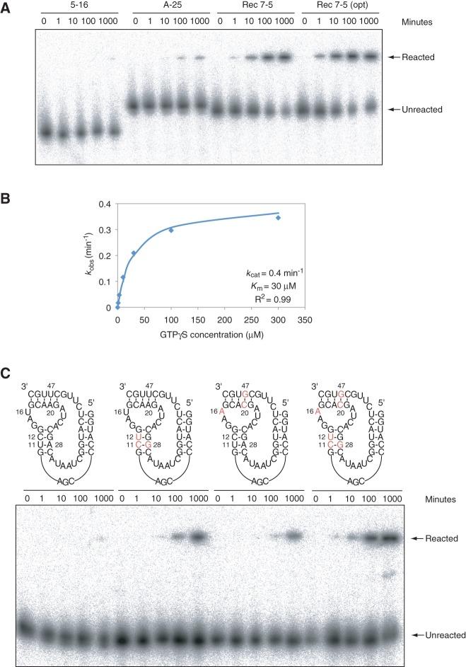 https://cdn.ncbi.nlm.nih.gov/pmc/blobs/c2ec/3708531/e1d4f821394f/1116fig6.jpg