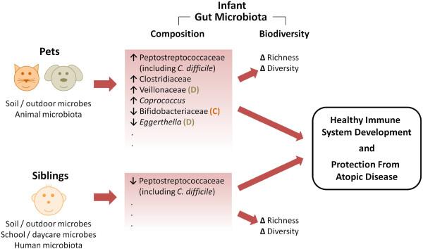 https://cdn.ncbi.nlm.nih.gov/pmc/blobs/c2ed/3655107/f6c0c1da8519/1710-1492-9-15-3.jpg