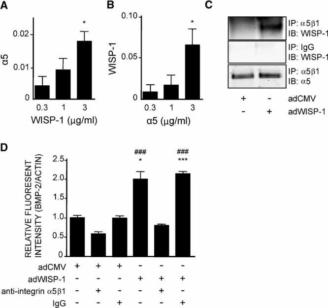 https://cdn.ncbi.nlm.nih.gov/pmc/blobs/c2ee/3179320/2d00a7f2acc6/jbmr0026-0193-f8.jpg