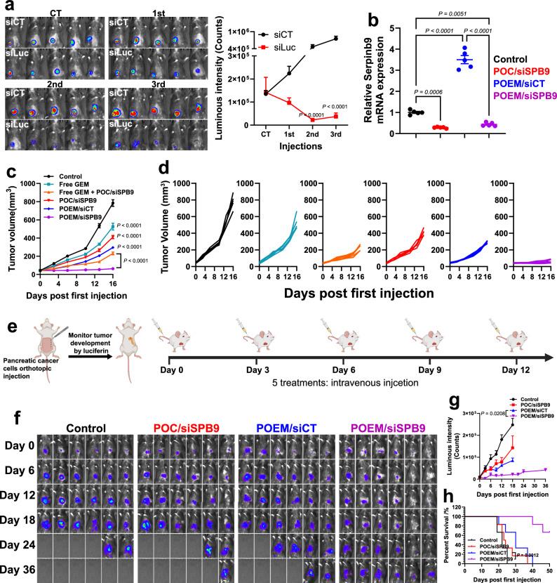 https://cdn.ncbi.nlm.nih.gov/pmc/blobs/c2ef/12053578/53c195870340/41467_2025_59490_Fig5_HTML.jpg