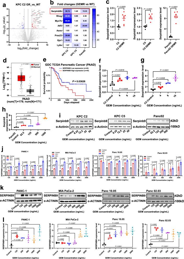 https://cdn.ncbi.nlm.nih.gov/pmc/blobs/c2ef/12053578/9e33860fdade/41467_2025_59490_Fig1_HTML.jpg