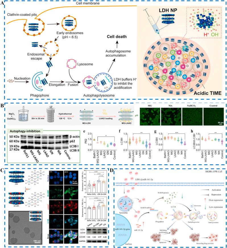 https://cdn.ncbi.nlm.nih.gov/pmc/blobs/c2ef/12320707/2f15eb5968c5/gr5.jpg