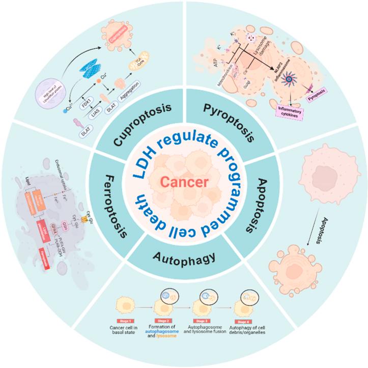 https://cdn.ncbi.nlm.nih.gov/pmc/blobs/c2ef/12320707/3867c92ceb1e/ga1.jpg