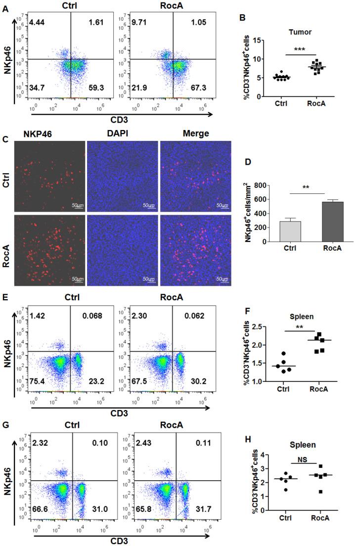 https://cdn.ncbi.nlm.nih.gov/pmc/blobs/c2ef/8741839/461ea25ece45/ijbsv18p0585g001.jpg