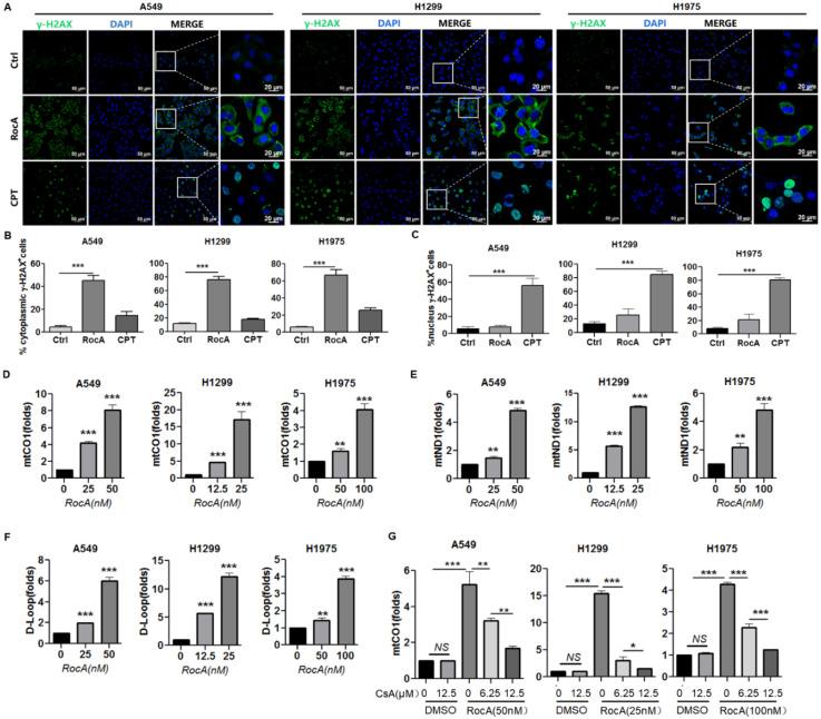 https://cdn.ncbi.nlm.nih.gov/pmc/blobs/c2ef/8741839/60fb5c1a31c2/ijbsv18p0585g007.jpg