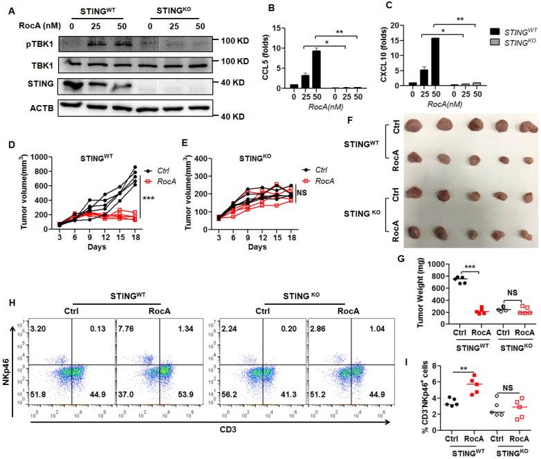 https://cdn.ncbi.nlm.nih.gov/pmc/blobs/c2ef/8741839/70ee4348c6b7/ijbsv18p0585g006.jpg