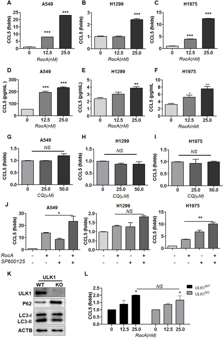 https://cdn.ncbi.nlm.nih.gov/pmc/blobs/c2ef/8741839/7f6c2d2e4c0a/ijbsv18p0585g002.jpg