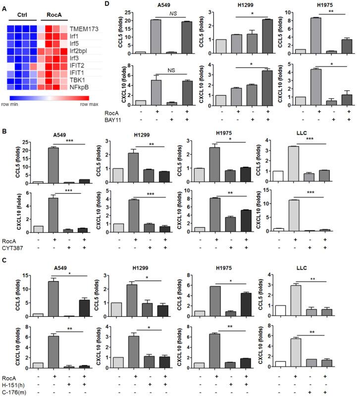 https://cdn.ncbi.nlm.nih.gov/pmc/blobs/c2ef/8741839/bde8b9691080/ijbsv18p0585g004.jpg