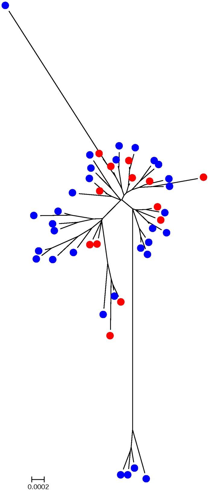 https://cdn.ncbi.nlm.nih.gov/pmc/blobs/c2f1/3440321/67888d97d9c6/pone.0044662.g001.jpg