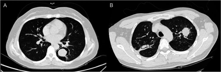 https://cdn.ncbi.nlm.nih.gov/pmc/blobs/c2f6/12231691/40397d779ea6/12879_2025_11267_Fig1_HTML.jpg