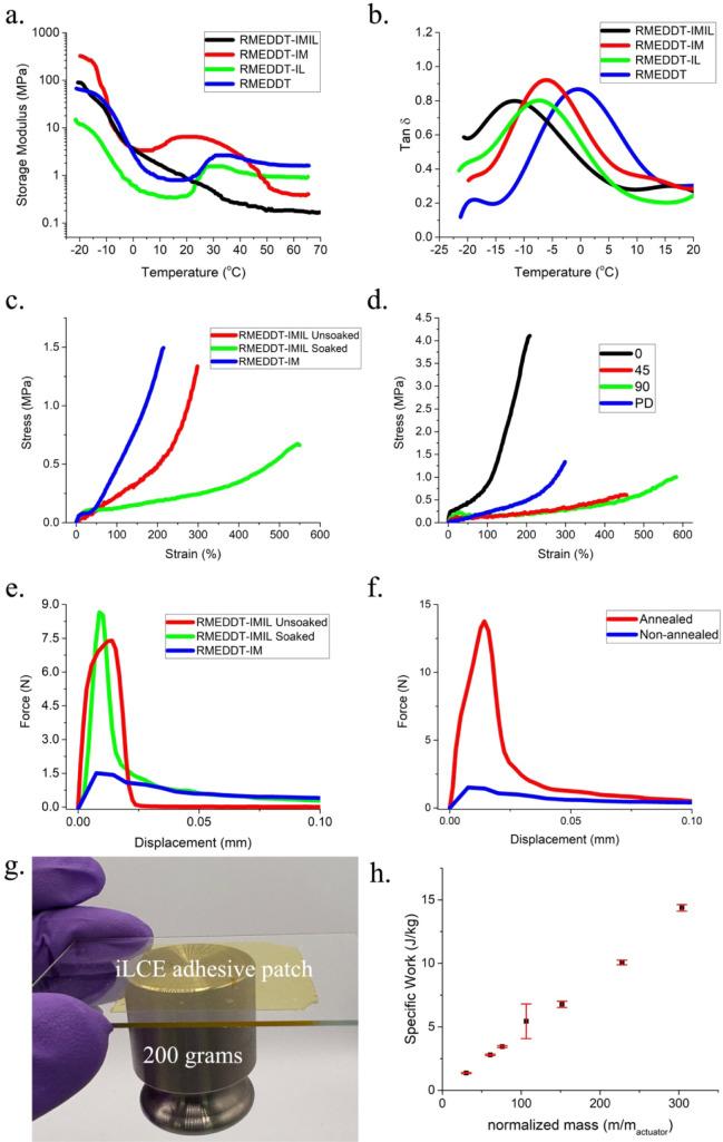 https://cdn.ncbi.nlm.nih.gov/pmc/blobs/c2f8/12314865/55c97f14ee9d/am5c08503_0002.jpg