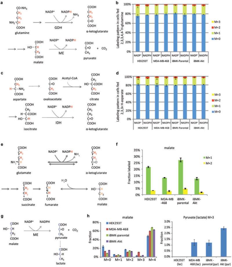 https://cdn.ncbi.nlm.nih.gov/pmc/blobs/c2f8/4104482/6e389fe7c924/nihms573616f8.jpg