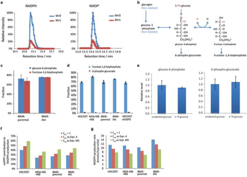 https://cdn.ncbi.nlm.nih.gov/pmc/blobs/c2f8/4104482/7ebe33c23bed/nihms573616f6.jpg