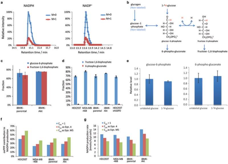 https://cdn.ncbi.nlm.nih.gov/pmc/blobs/c2f8/4104482/9be9b772b772/nihms573616f5.jpg