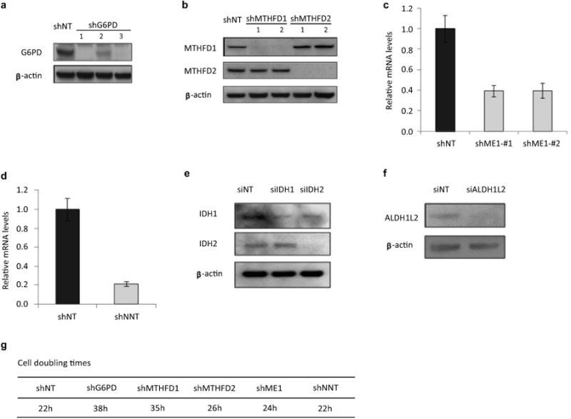 https://cdn.ncbi.nlm.nih.gov/pmc/blobs/c2f8/4104482/dbd7fc678601/nihms573616f14.jpg