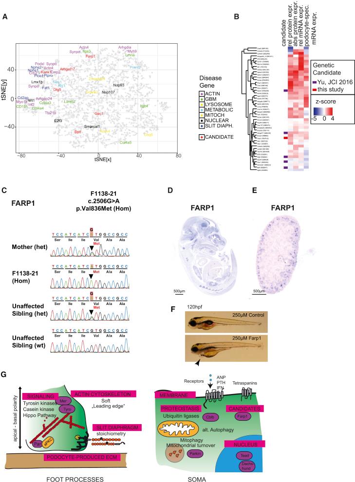 https://cdn.ncbi.nlm.nih.gov/pmc/blobs/c2f8/5986710/b98b1307f425/gr6.jpg